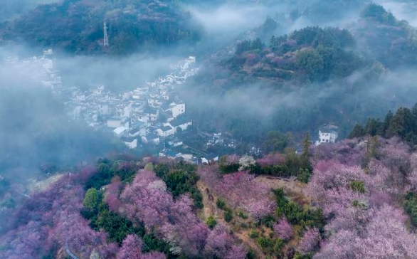 微信截图_20250228111004.png